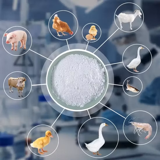 Glicina de qualidade alimentar a granel por atacado de fábrica na China CAS 56